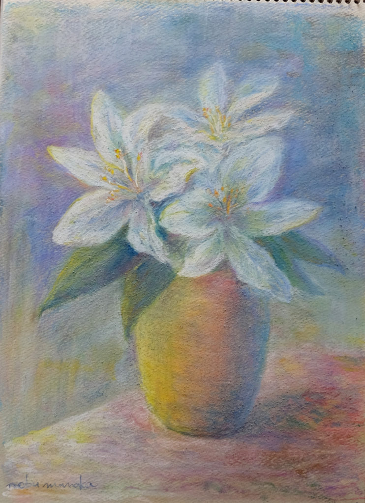 white lily パステル画